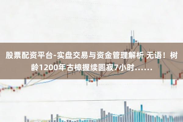 股票配资平台-实盘交易与资金管理解析 无语！树龄1200年古樟握续圆寂7小时……