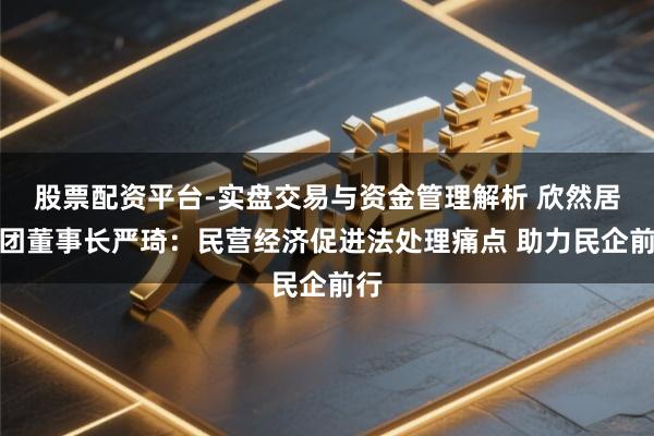 股票配资平台-实盘交易与资金管理解析 欣然居集团董事长严琦：民营经济促进法处理痛点 助力民企前行